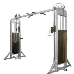 啞鈴飛鳥 鍛煉胸肌的經典雙器械